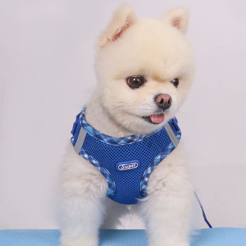 Pettorina antiscivolo Super per cani_voghion.com