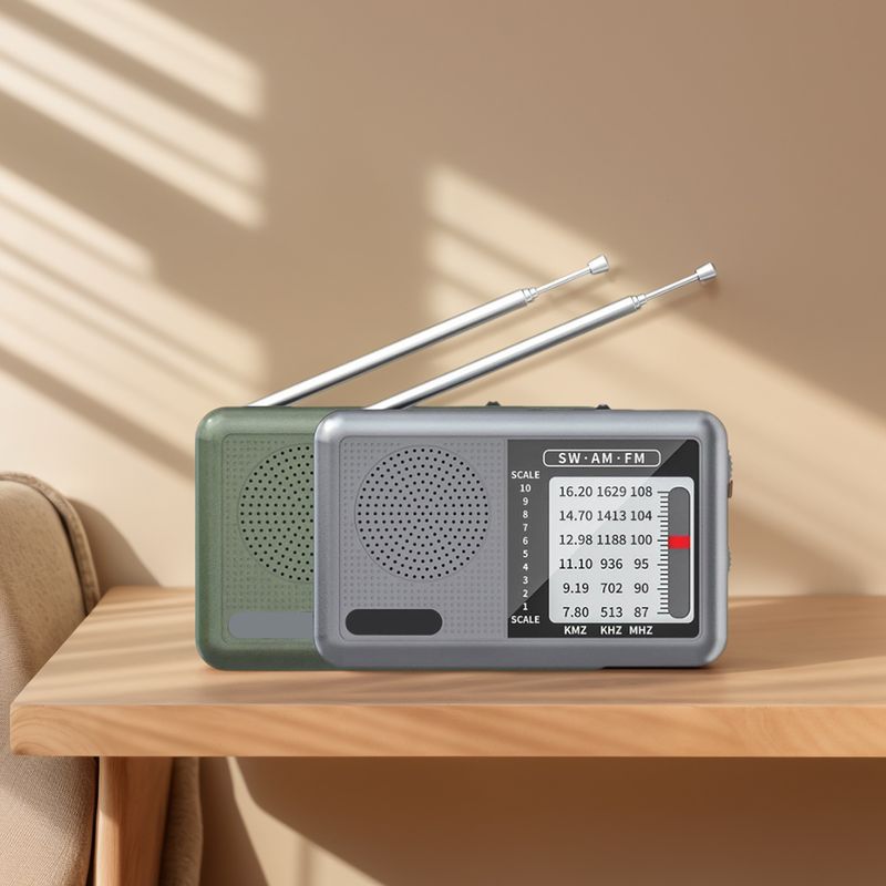 Portable Battery Operated Broadcast With Earphone Jack DSP Radio 360 Degree Rotating Antenna For News Entertainment_voghion.com