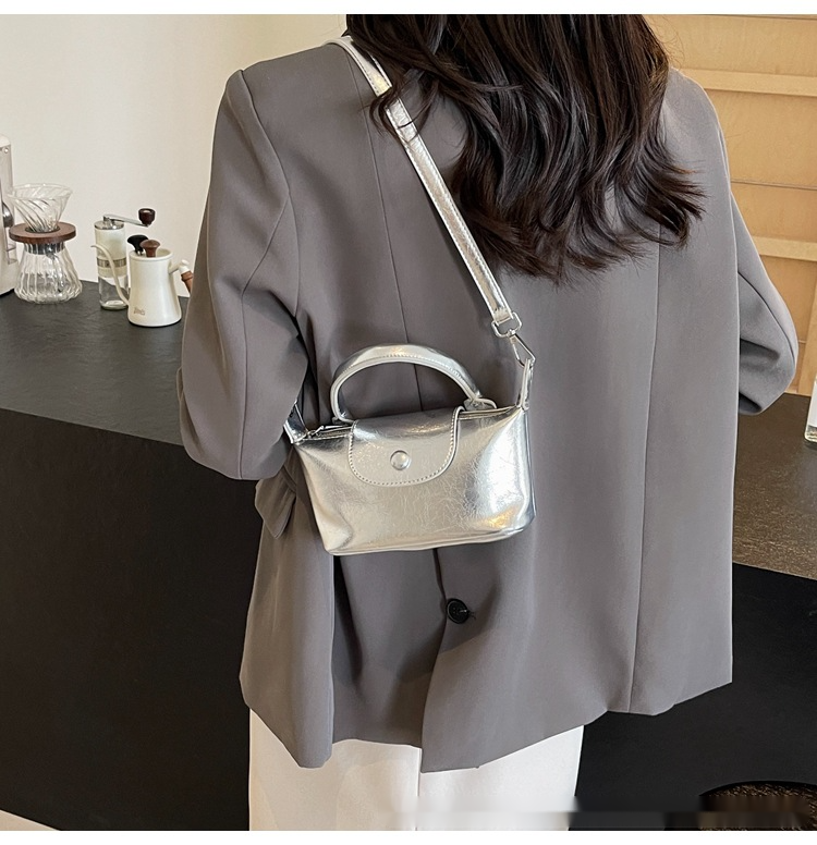 This Year's Popular Small Bags For Women In Spring New Crossbody Bags High-end Hand-held Shoulder Bags Versatile Dumpling Bags_voghion.com