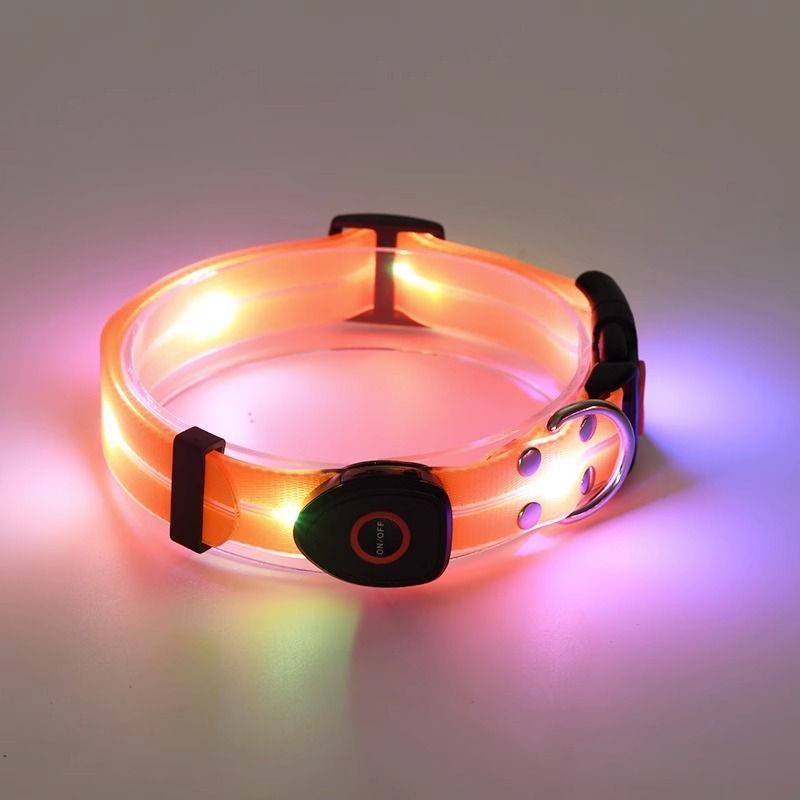Coleira luminosa anti-perda para caminhada noturna com luz para cães_voghion.com