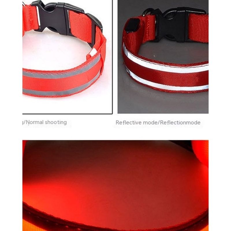 Collare per cani ricaricabile tramite USB, luminoso, animale domestico di grandi dimensioni_voghion.com