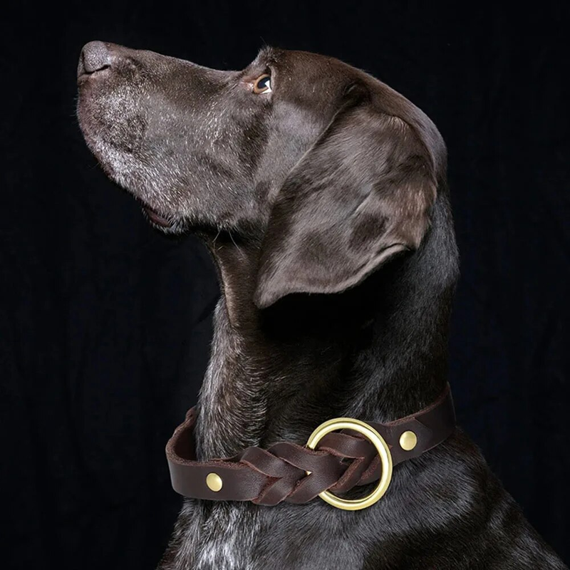 Hochwertiges, echtes, geflochtenes Halsband, verstellbar, weiches, echtes Leder, Trainingshalsband für Haustiere mit rostfreien Metallbeschlägen_voghion.com