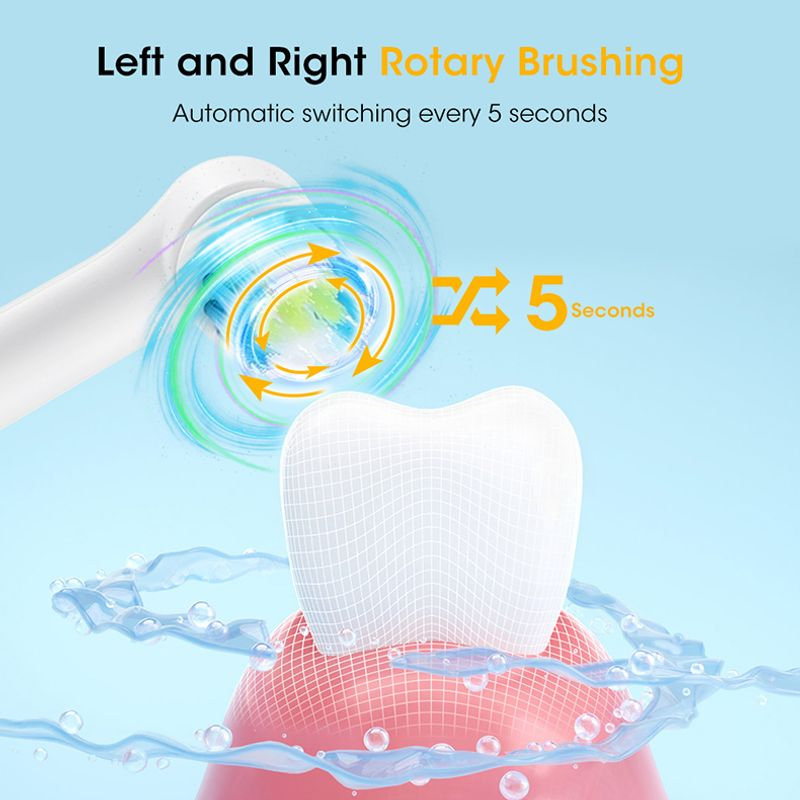 Adult Rotating Electric Toothbrushes Tails Sonic Teeth Whitening Rechargeable 4 Colors Options Timer IPX7 Brush_voghion.com