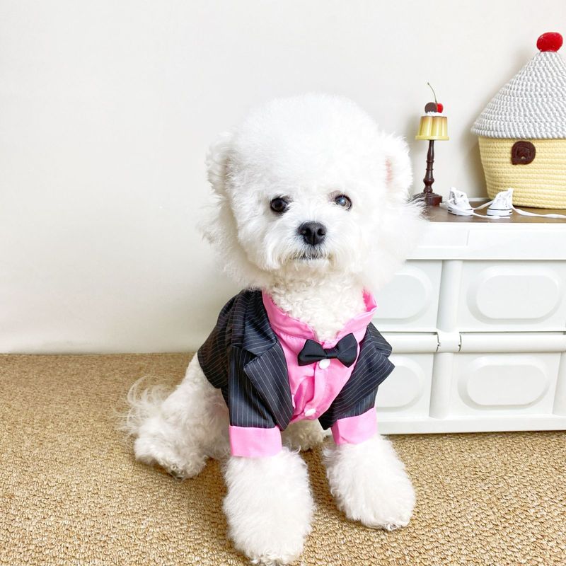Nouveaux vêtements pour animaux de compagnie, costume smoking gentleman, vêtements pour chiots_voghion.com