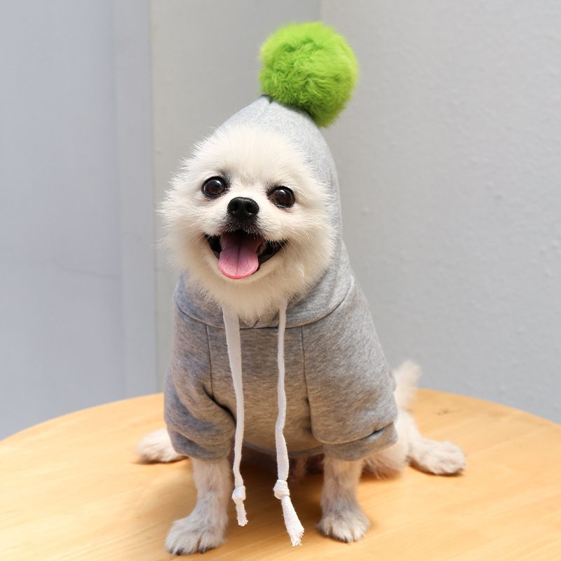 Maglione con cartone animato con palla cane gatto animale domestico Teddy Fadou autunno e inverno abbigliamento forniture Tide marchio Bomei all'ingrosso_voghion.com