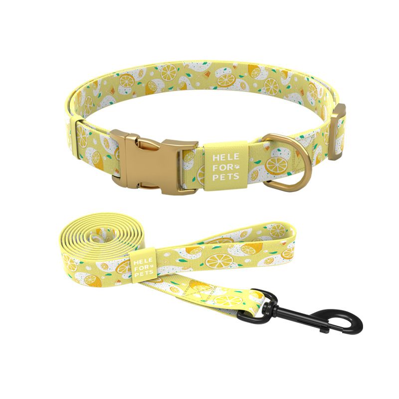 New Design Dog For Large, Medium, And Small Dogs Lemon Print Pet Outdoor Training Leash Collar_voghion.com