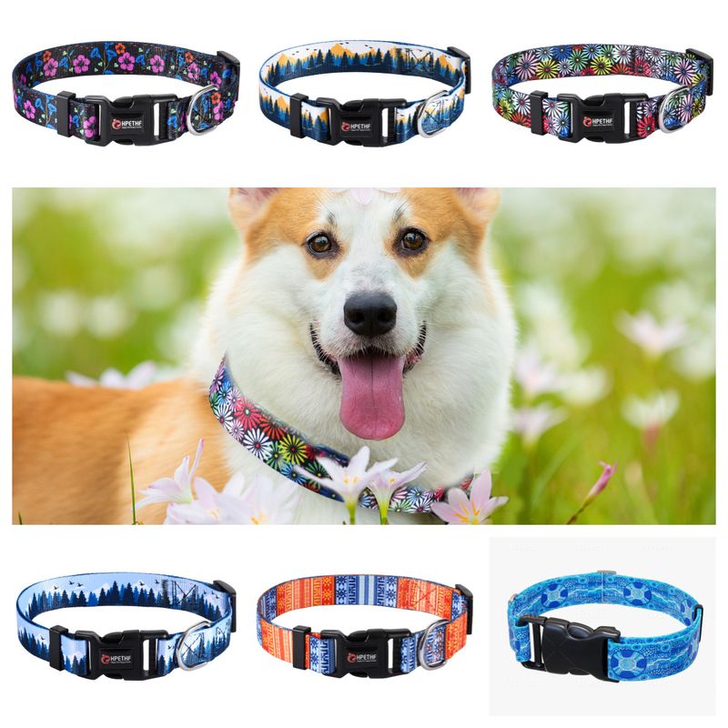 Pet Collar Digital Printing Adjustable Dog Leash Neck Multiple Patterns Style Decoration Anti-lost_voghion.com