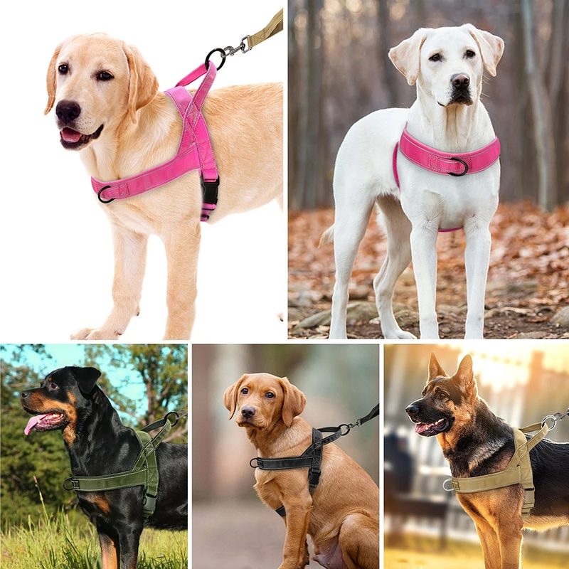 Arnês de treinamento refletivo de nylon durável sem puxar para animais de estimação com alça para cães pequenos, médios e grandes, pastor alemão_voghion.com