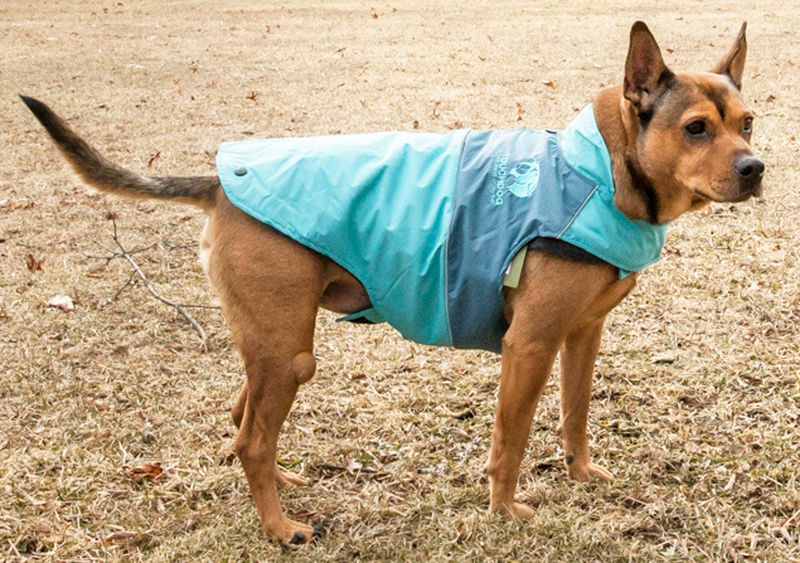 Touchdog Lightening-Shield Waterproof 2-in-1 Convertible Dog Jacket w/ Blackshark technology_voghion.com