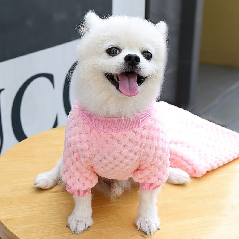 Ropa para perros pequeños y grandes, ropa para gatos, otoño e invierno, nuevos suministros para mascotas, ropa de vellón, método, cubo, ropa de dos patas, cuadros_voghion.com