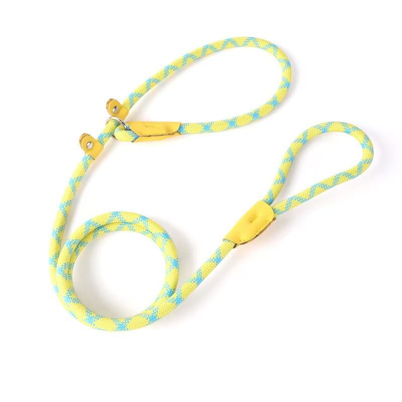 Guinzaglio per addestramento, corda, cani di taglia media e grande, collare a catena neutro per cani, accessori per animali domestici, cintura di sicurezza_voghion.com