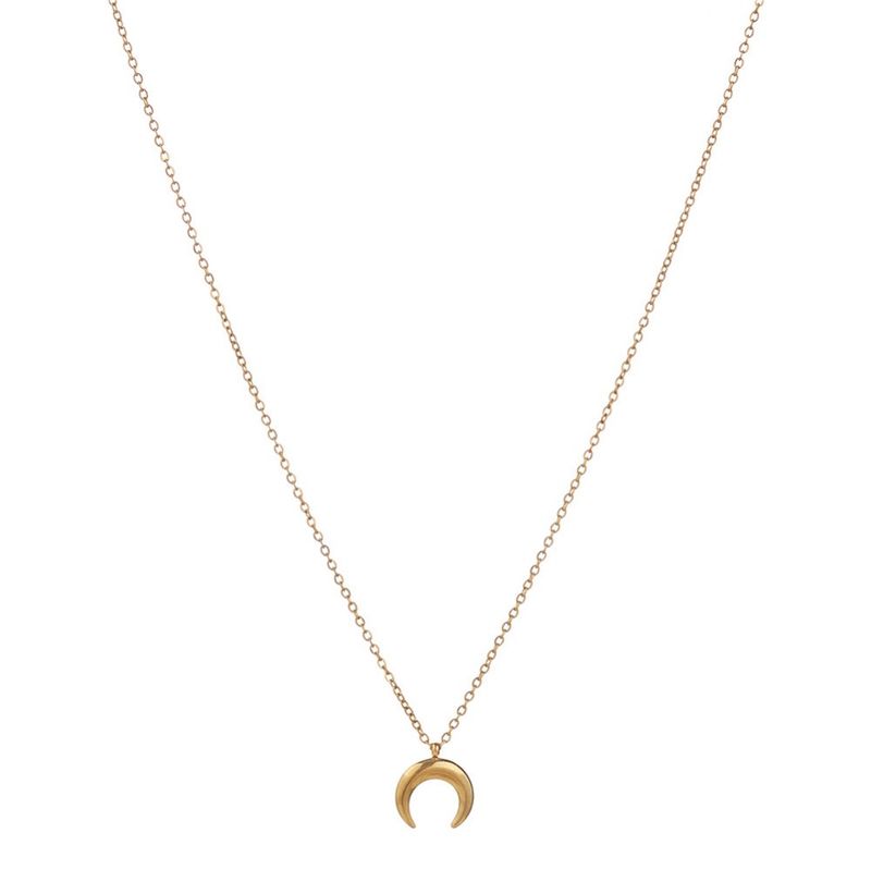 Hot Sales Nieuwe Mode Roestvrijstalen Dunne Ketting Hanger Voor Vrouwen Halve Maan Hoorn Charms Ketting Sieraden_voghion.com