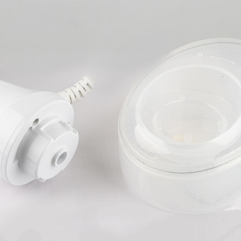 Portable Steam Iron, Handheld Vertical Ironing Brush For Travel, Home, 800W, Compact, EU Plug_voghion.com