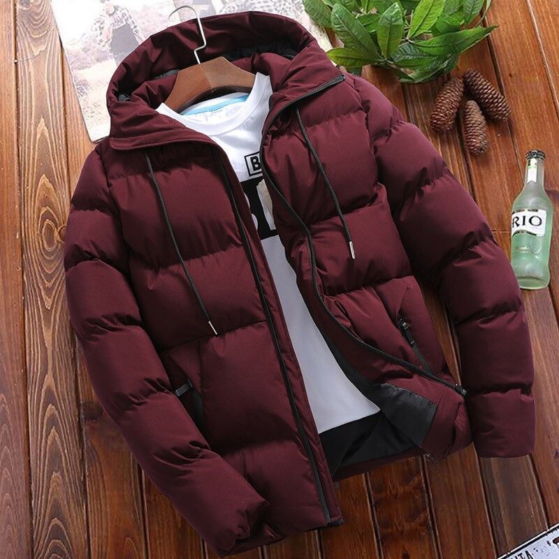 Winter New Handsome Short Cotton Korean Version Slimm Trend Down Jacket Men's_voghion.com