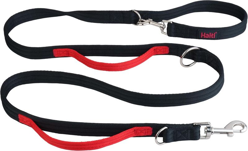 Control Hundeleine, Größe Groß, Schwarz, 2 M - Mit 2 Griffen, Die Sie Beim Training Lhres Hundes Und Beim Gassi Gehen Unterstützen, Mit Neopren Gepo_voghion.com