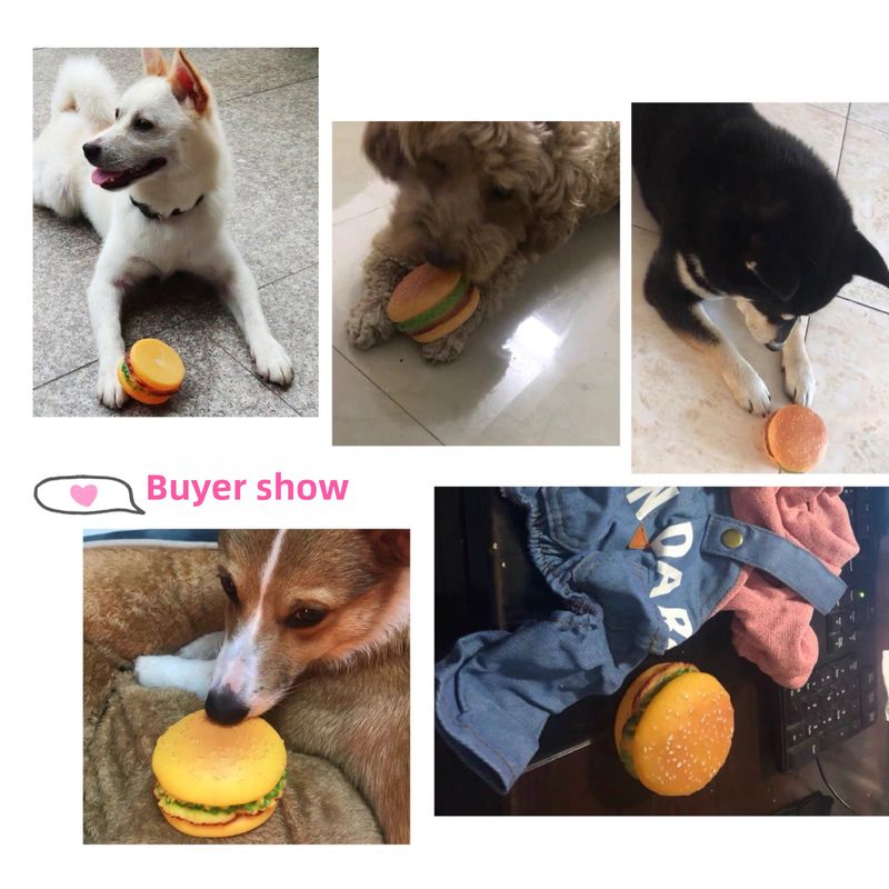 Giocattoli per cani, denti resistenti ai morsi, cuccioli di Golden Retriever, cani urlanti, giocattolo_voghion.com