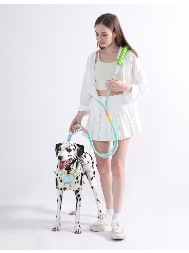 New Exploion-proof Charging Walking Leah Double-layer Integrated Dog Chain Turdy And Durable Running Rope Pet_voghion.com