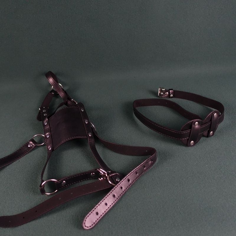 Bavaglio per flirtare con la gola profonda, imbracatura per cavalli, maschera per gli occhi, palla per la bocca, anti-vomito, sexy per uomini e donne_voghion.com