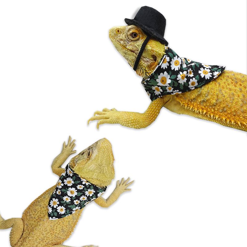 Lizard Hamster Triangle Drool Scarf Halloween Costume Small Pet Top Hat_voghion.com