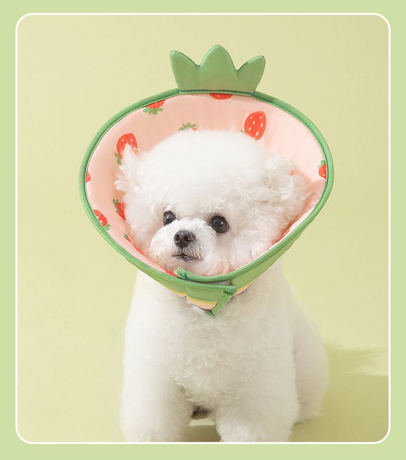 Coleira de esterilização Elizabeth Circle com estampa completa de abacaxi e frutas para cães e gatos, suprimentos para animais de estimação anti-mordidas e lambidas_voghion.com