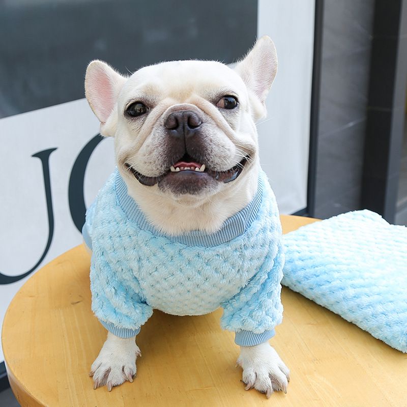 Ropa para perros pequeños y grandes, ropa para gatos, otoño e invierno, nuevos suministros para mascotas, ropa de vellón, método, cubo, ropa de dos patas, cuadros_voghion.com
