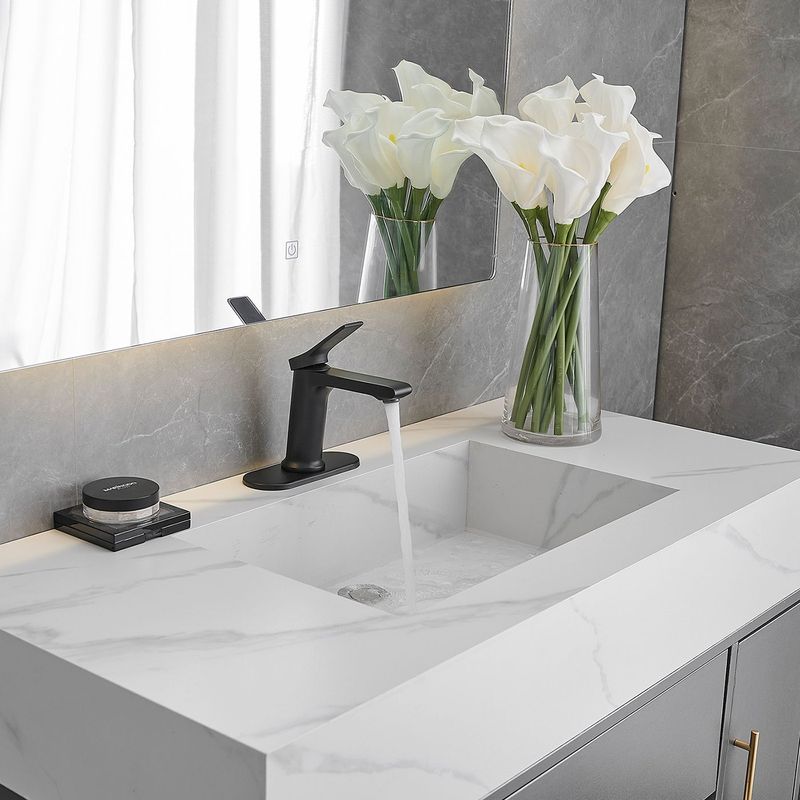 Single Hole Single-Handle Bathroom Faucet In Matte Black_voghion.com