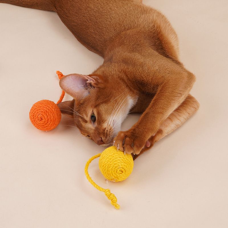 Zeze Teaser Wand Durable Chew Catnip Ball Set Cat Toy Self-Entertainment Kitten Pet_voghion.com