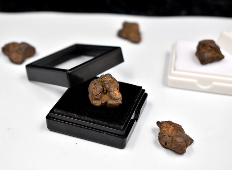 Kenya Serico Olive Meteorito Meteorito Ferro Meteorito Tiantie Noroeste Não-condrito Ensino Espécime de Ciência Popular_voghion.com