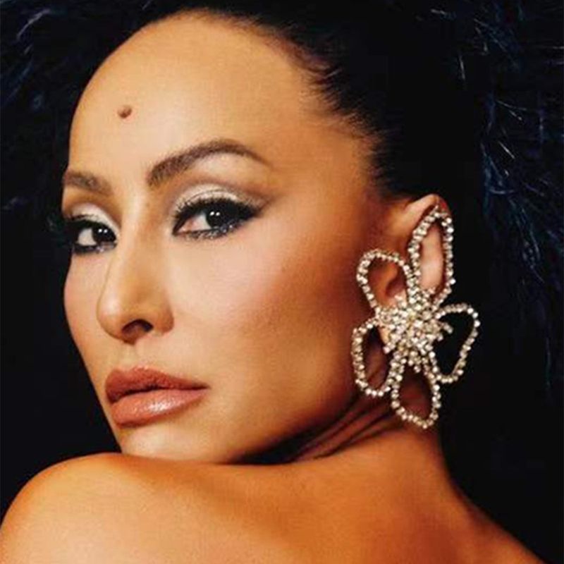 orecchini alla moda di vendita calda orecchini pendenti a forma di fiore grandi e irregolari con strass esagerati orecchini orecchino_voghion.com