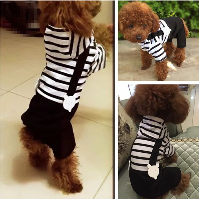 Vestiti a righe per gatti, primavera ed estate, per cani di piccola taglia, con cappuccio e bottoni, orsacchiotti, abbigliamento per la casa_voghion.com