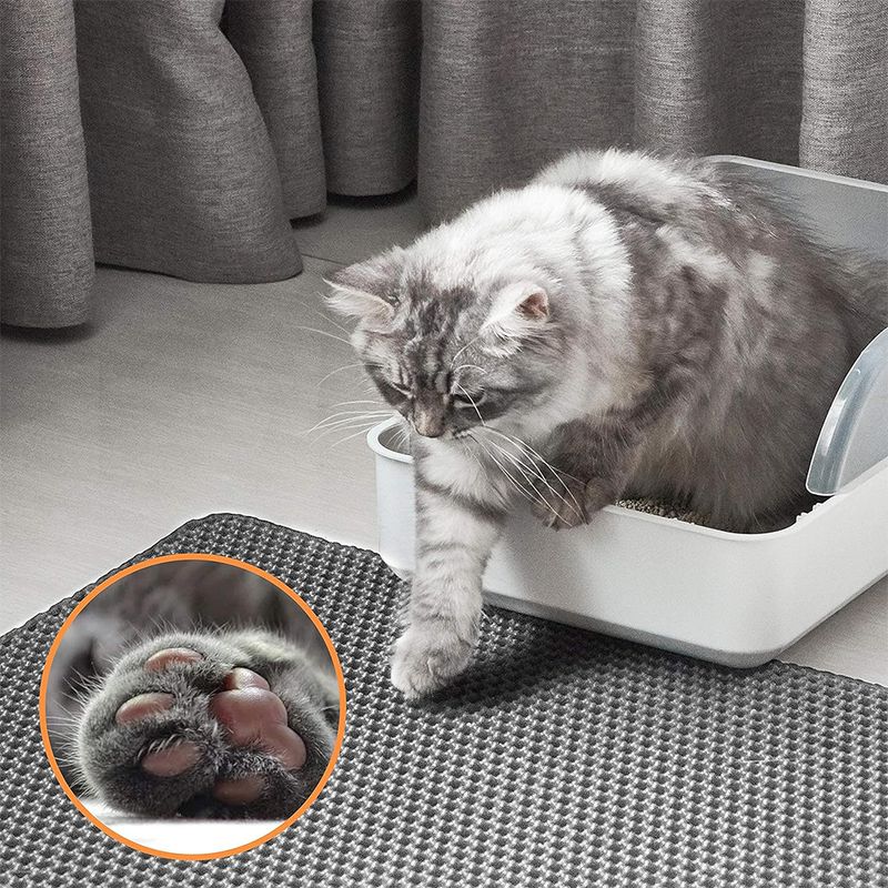 Cat Litter Mat Double Layer Waterproof Urine Proof Trapping Mat Easy To Clean Non-Slip Toilet Pad Cat Scratch Pad Large Foot Pad_voghion.com