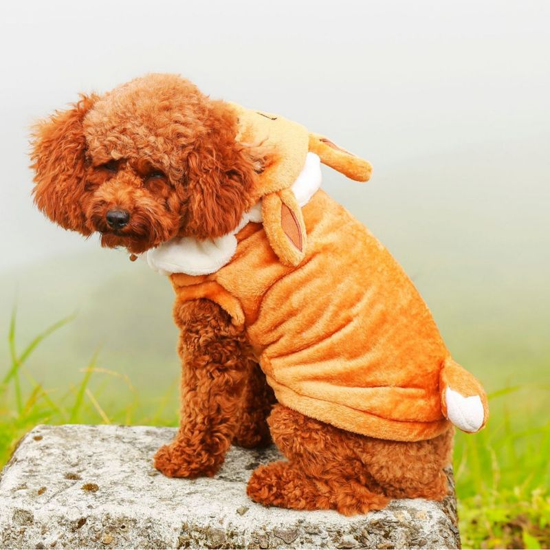 Pet Autumn Winter Transformation Outfit For Small Medium Dogs And Cats, Fleece-Lined Warm Teddy French Bulldog Coat,_voghion.com