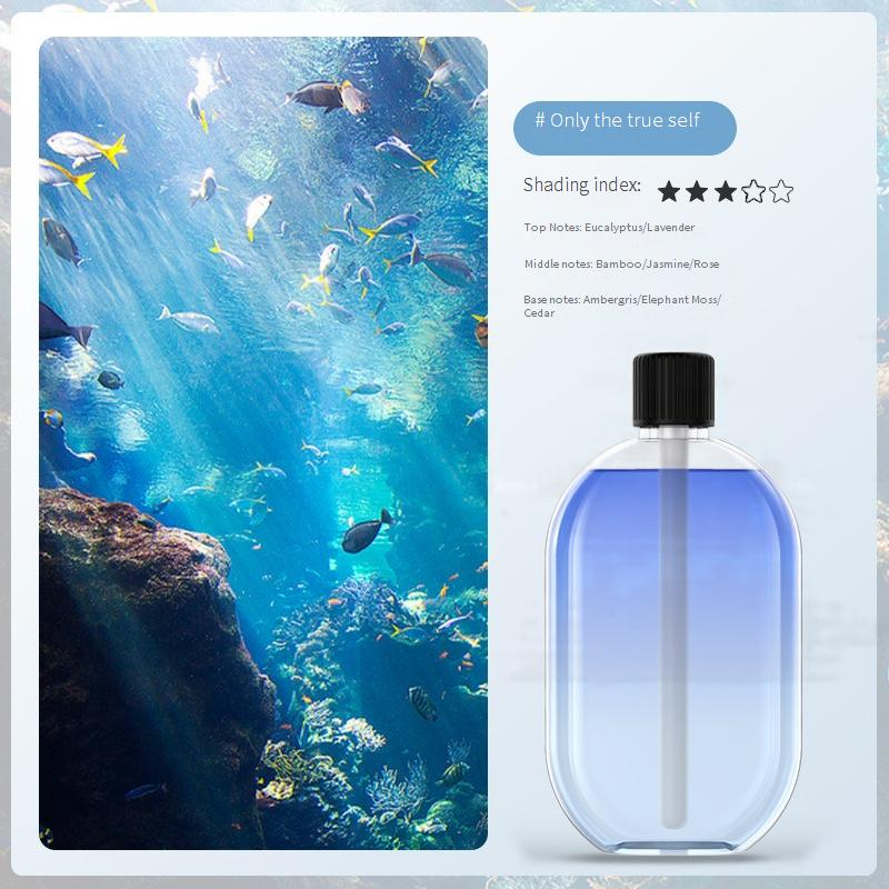 Smart Timer Aroma Diffuser For Home & Bathroom – Auto Fragrance Spray, Essential Oil Humidifier, Odor Eliminator With 2H Timer & Dry-Off Protection_voghion.com