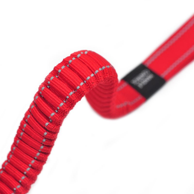Running Pet Explosionsgeschützte, reflektierende, elastische, multifunktionale Hundeleine für den Außenbereich, einziehbar für große Hunde_voghion.com