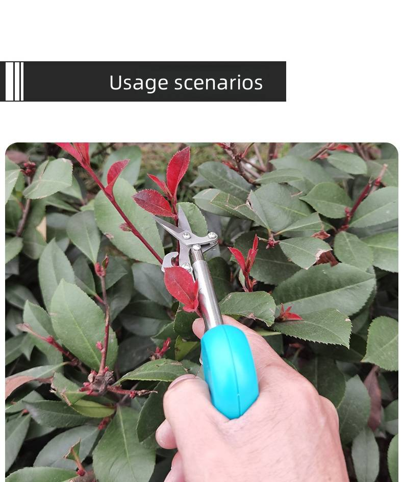 Professionelle Obstpflückschere aus Edelstahl – scharfe, spitze Ernteschere für Gartenarbeit, Beschneiden, Blumenarrangements und Kräuter_voghion.com