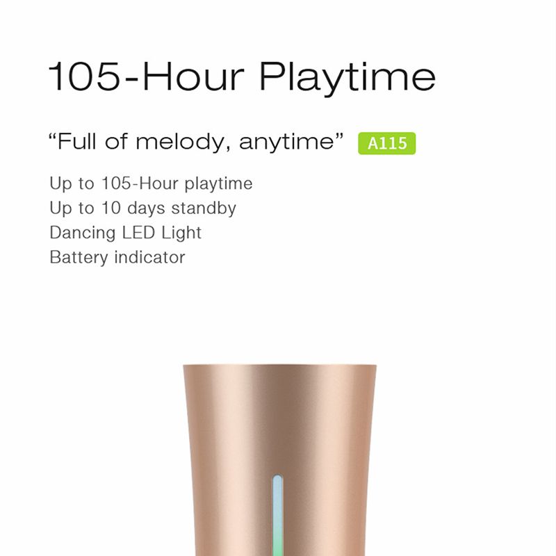 EWA Tragbarer drahtloser Bluetooth 5.0-Lautsprecher Outdoor Sport HIFI TWS-Lautsprecher 6000mAh Stereo Bass TF-Karte MP3-Player_voghion.com