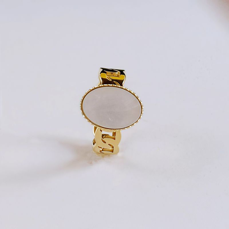 Niche Design High-End Minimalist Style Stainless Steel Zircon Gold-Plated Japanese And Korean Simple Internet Celebrity_voghion.com