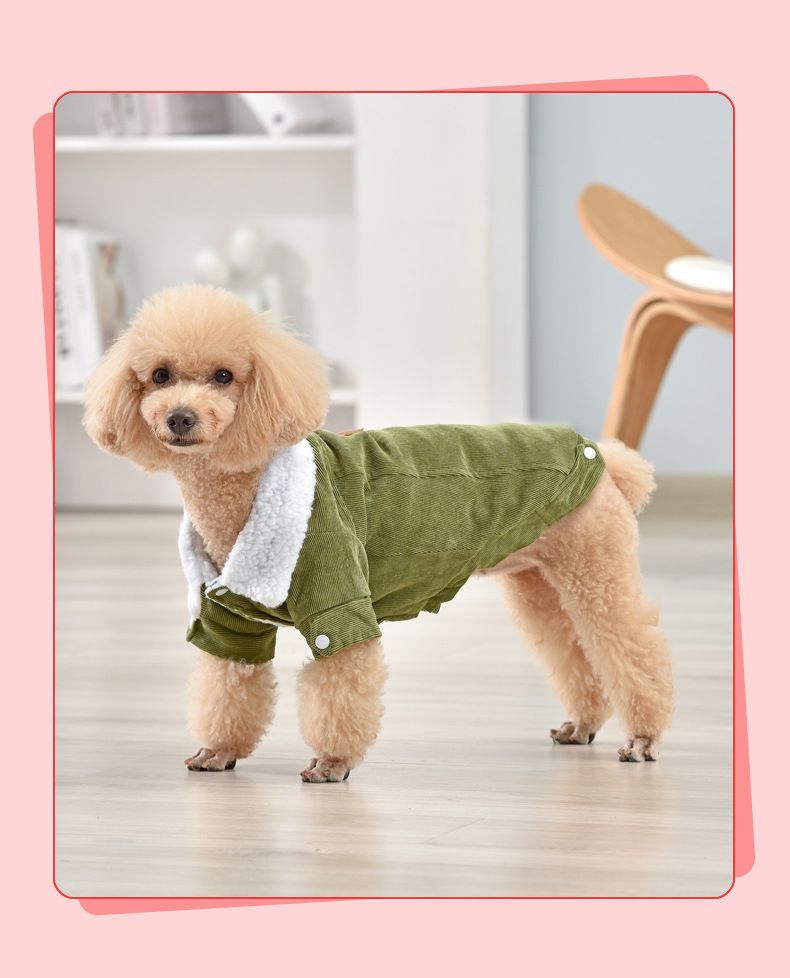 Manteau d'hiver rembourré en coton pour animaux de compagnie en velours côtelé pour chiens de petite et moyenne taille_voghion.com