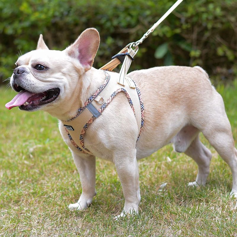 SQCLV Soft Mesh Dog Harness And Leash Set, No-Chock Step-in Reflective Breathable Lightweight Easy Walk Escape Proof Vest Harnesses With Safety Buckle_voghion.com
