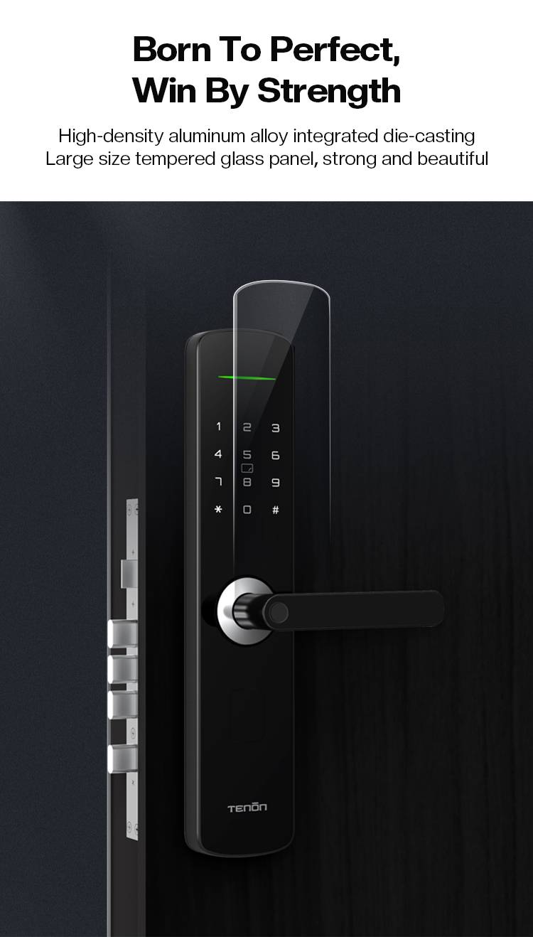Fingerprint Digital Smart Lock With Lever Rim Pin Card Tenon E3_voghion.com