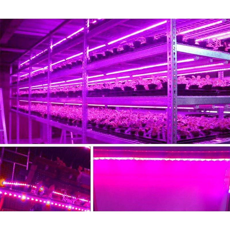 Taśma świetlna USB LED do uprawy roślin doniczkowych, elastyczna lampa o pełnym spektrum z 60 diodami LED, wodoodporna IP20/IP65, opcje długości 1/2/3/4/5 metrów_voghion.com