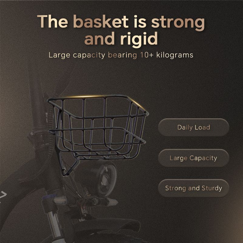 DRVETION CT20 Elektrische fiets met voormand 250W 48V 20AH accu_voghion.com