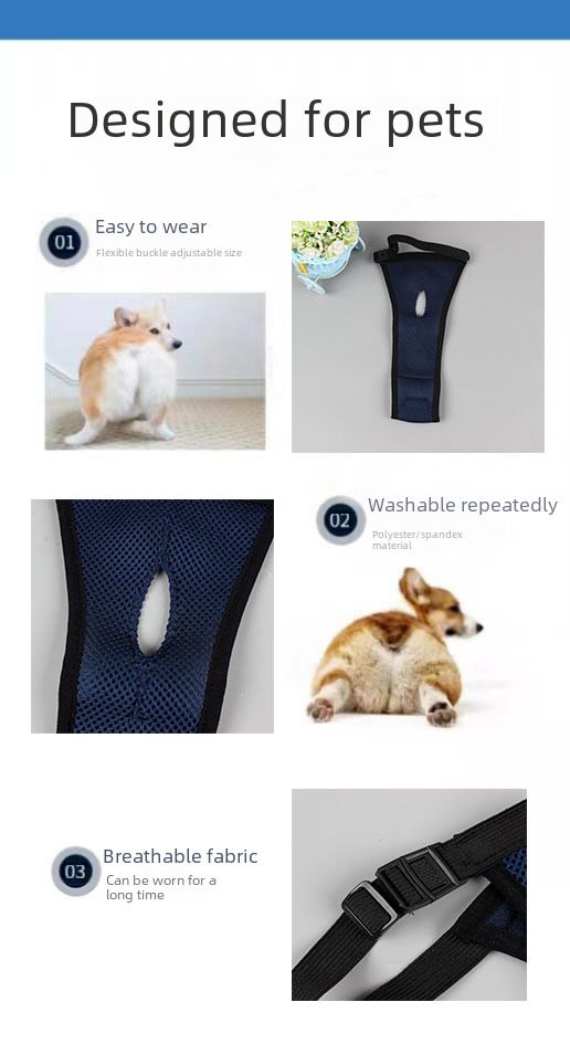 2024 new pet sandwich mesh dog health pants our factory supply Thank you old customer welfare price_voghion.com
