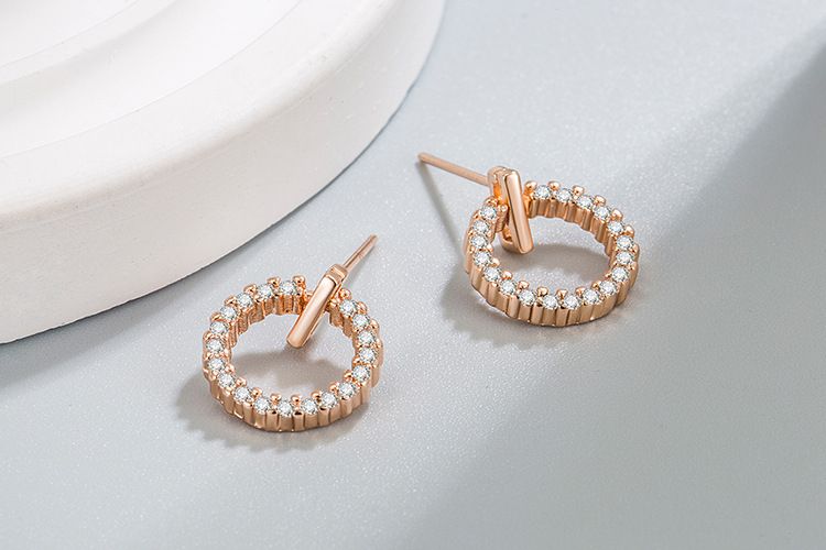 Orecchini per donna personalità semplice orecchini circolari versatili stile freddo orecchini piccoli antiallergici_voghion.com