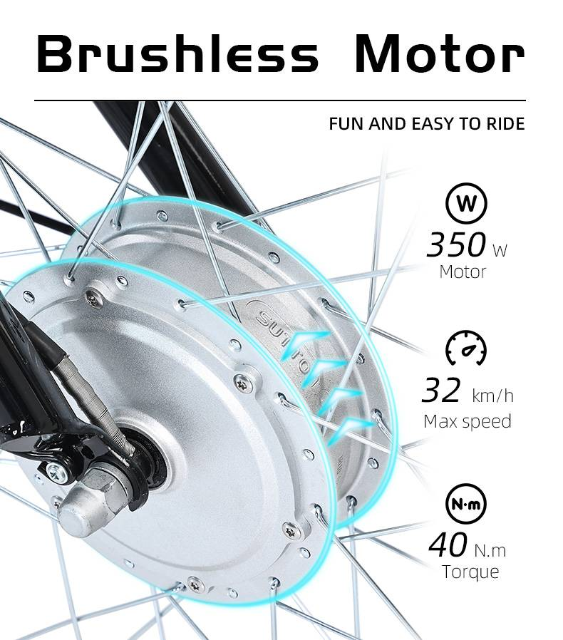 Gogobest GF100 24" Triciclo elettrico da carico 350W E-bike Batteria 36V 15Ah_voghion.com