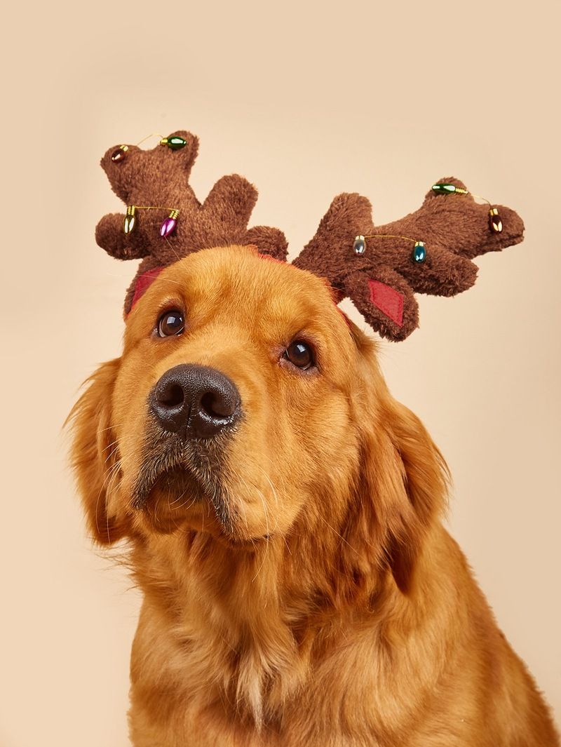 Julemode klassisk rødgrønt gevir lys Hairball stjerner hund kat pandebånd hovedbeklædning_voghion.com