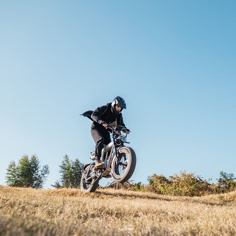 COSWHEEL CT20S 20" Elektro-Dirtbike, 1500-W-Motor, 60 V, 27,5 Ah Batterie_voghion.com