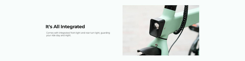 Bicicleta eléctrica plegable ENGWE P20 de 20 pulgadas con motor con sensor de par de 250 W, batería de 36 V y 9,6 Ah, frenos de disco hidráulicos y bicicleta eléctrica_voghion.com