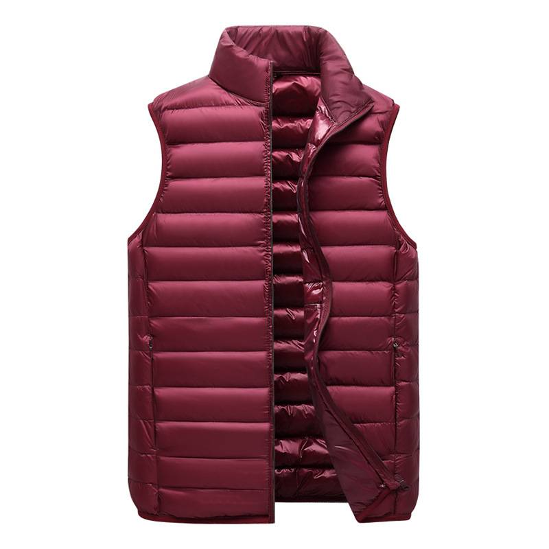 Meeste riided Talvine moodne stand-kraega puuvillane puuvillane vest Õhuke meeste soe vest_voghion.com