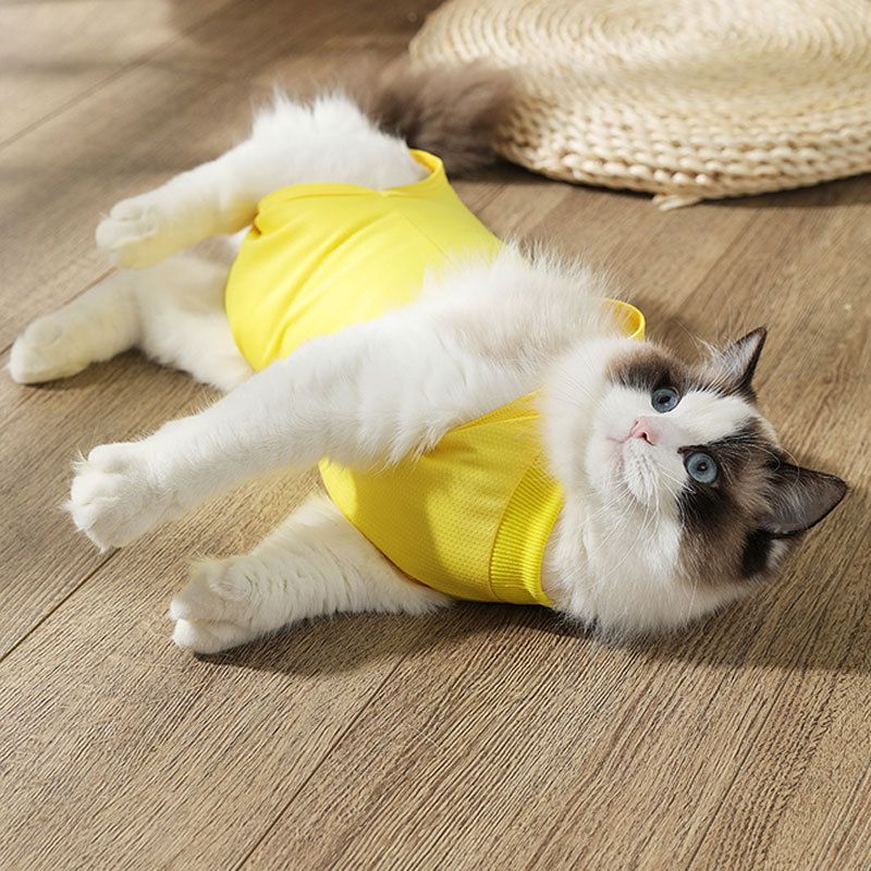 Tuta post-operatoria anti-leccamento anti-ferita per gatti femmine, elastica estiva per animali domestici_voghion.com